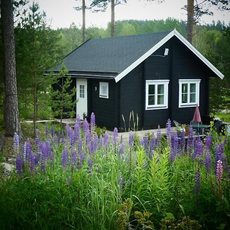 Fröya Timber Cottage Arvika Dış mekan fotoğraf