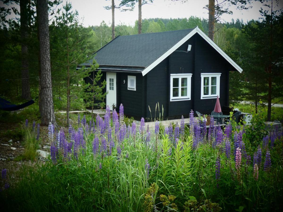 Fröya Timber Cottage Arvika Dış mekan fotoğraf